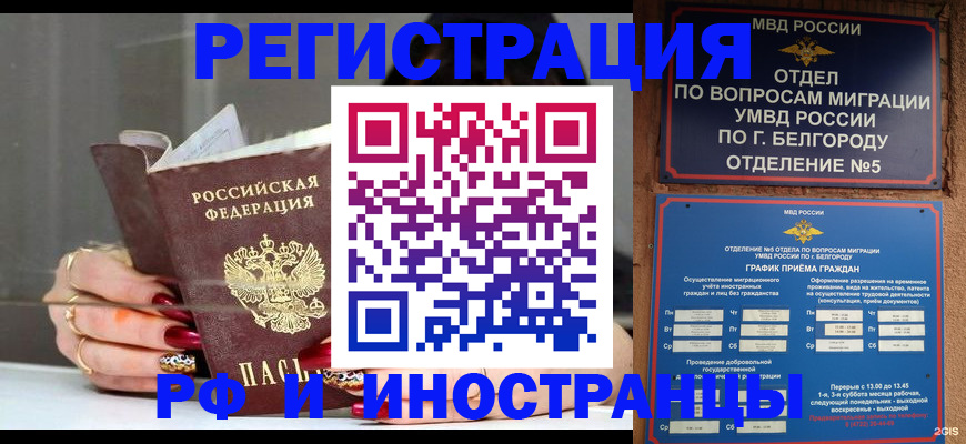 прописка в Великом Новгороде